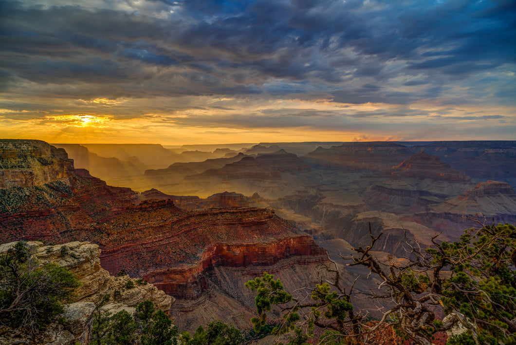 Arizona